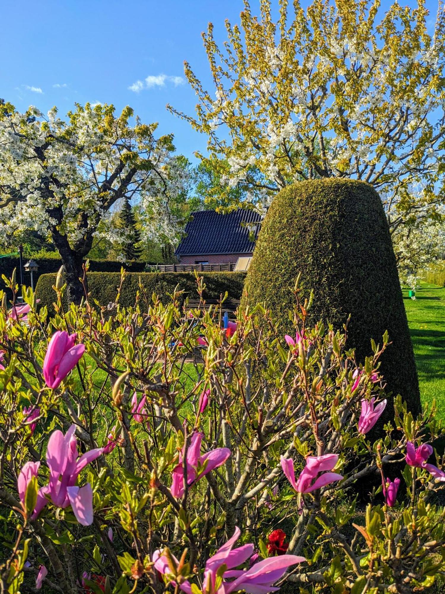 Villa Haeuschen Im Gruenen Jornstorf Esterno foto