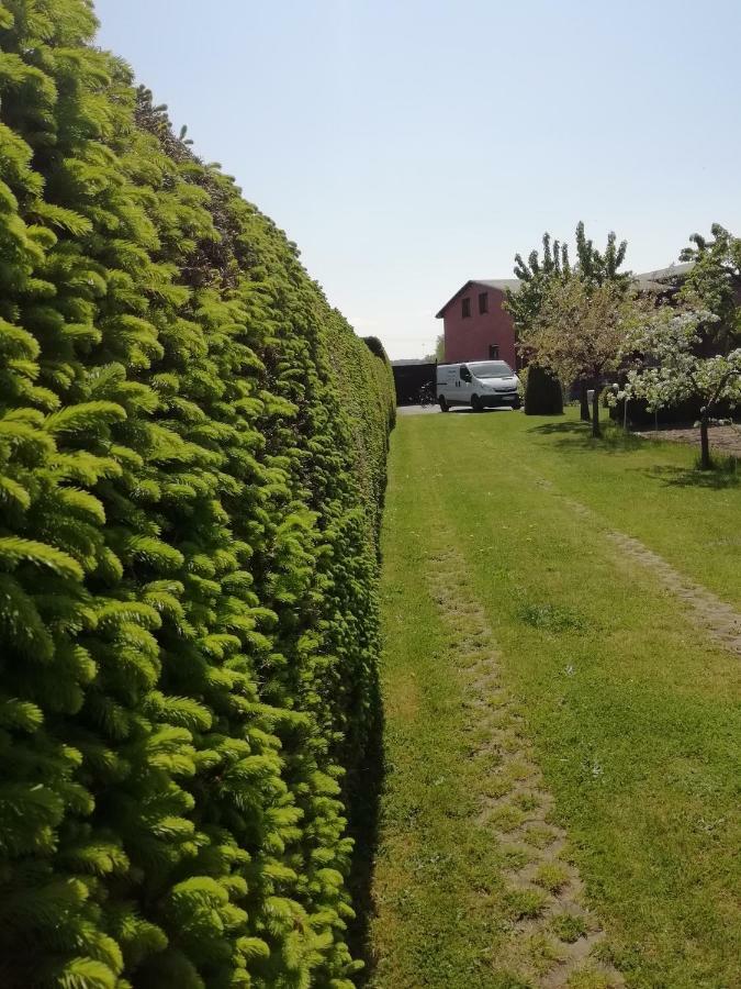 Villa Haeuschen Im Gruenen Jornstorf Esterno foto